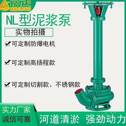 NL防腐蚀泥浆泵可用于泥塘等污水排污泥水泵