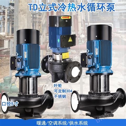 TD80-22/2立式管道循环离心泵燃气冷冻机泵