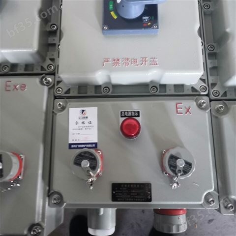 BXX-DIP粉尘防爆动力检修箱