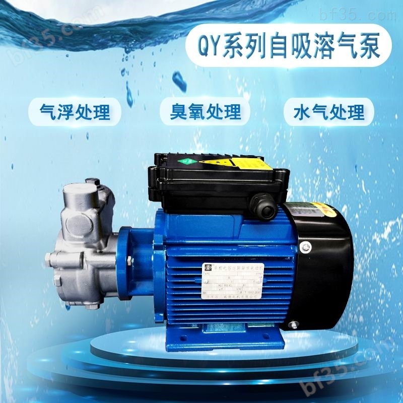 自吸泵QY溶气泵不锈钢富氧水制取稀释液吸引