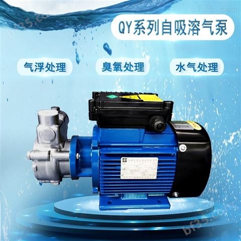 自吸泵QY溶气泵不锈钢富氧水制取稀释液吸引