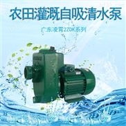 广东凌霄牌自来水管增压泵铸铁清水自吸泵