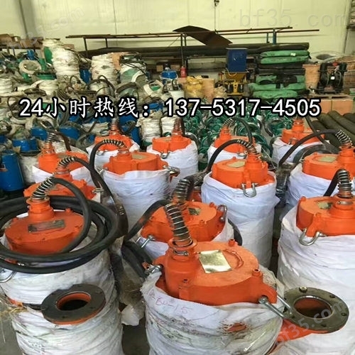 不锈钢潜水排沙泵BQS30-100/2-22/N防城港市品牌