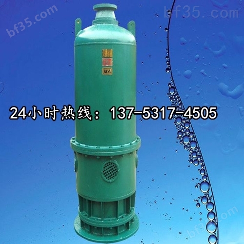BQS防爆排沙泵,BQS矿用隔爆型潜污水电泵BQS180-170/3-160/N湘潭市价格