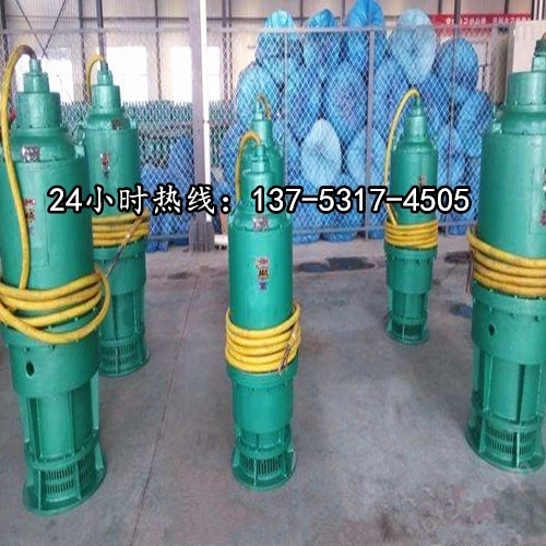 矿用污水潜水泵BQS60-100/2-37/N七台河图片