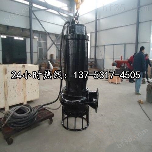 BQS25-12-2.2/N高扬程潜水排污泵*绥化市