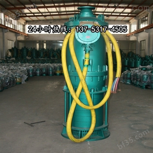 BSQ)系列高耐磨高浓度大小流量全扬程矿用排沙立泵BQS200-60-55/N许昌市价格