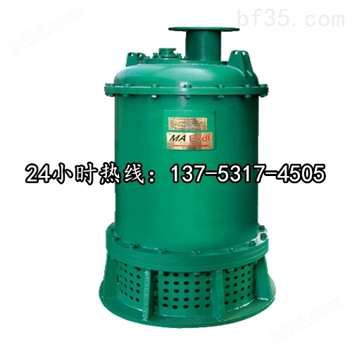 高扬程潜水排污泵BQS80-80/2-37/N怀化市图片