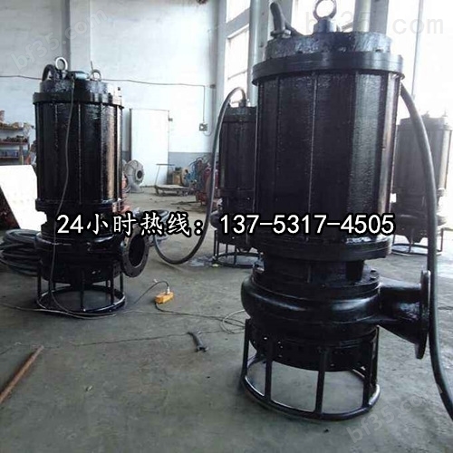 高扬程潜水排污泵BQS80-80/2-37/N大庆品牌