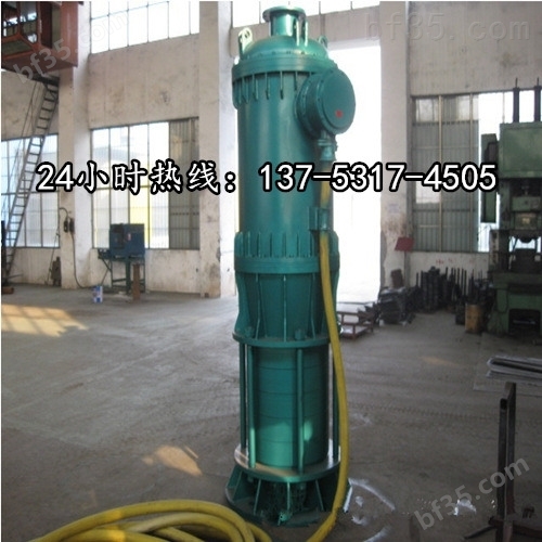 高扬程潜水排污泵BQS80-80/2-37/N武威市价格
