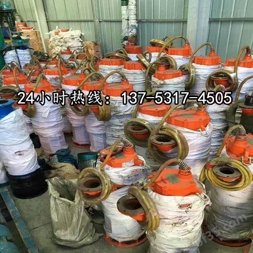BQS150-20-22/N矿用潜水立式排污泵*安庆市