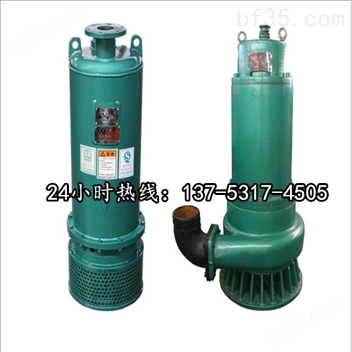 BQS20-40-5.5/N潜水立式排污泵*绥化