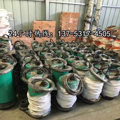 高扬程潜水排污泵BQS25-150/2-30/N辽阳价格