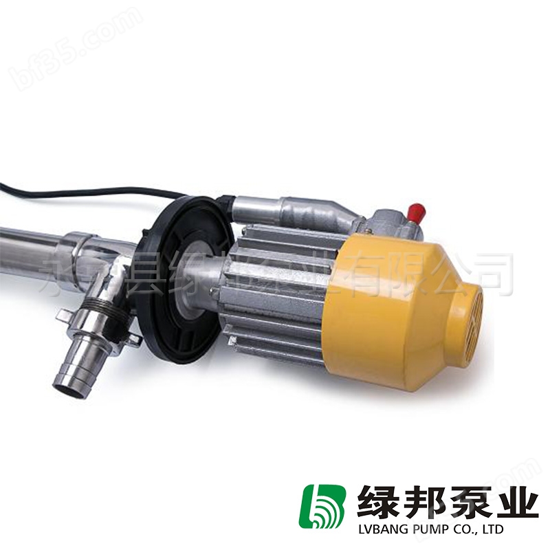 SB电动抽液泵,电动油桶泵,插桶泵