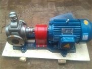 YCB20-0.6不锈钢齿轮泵